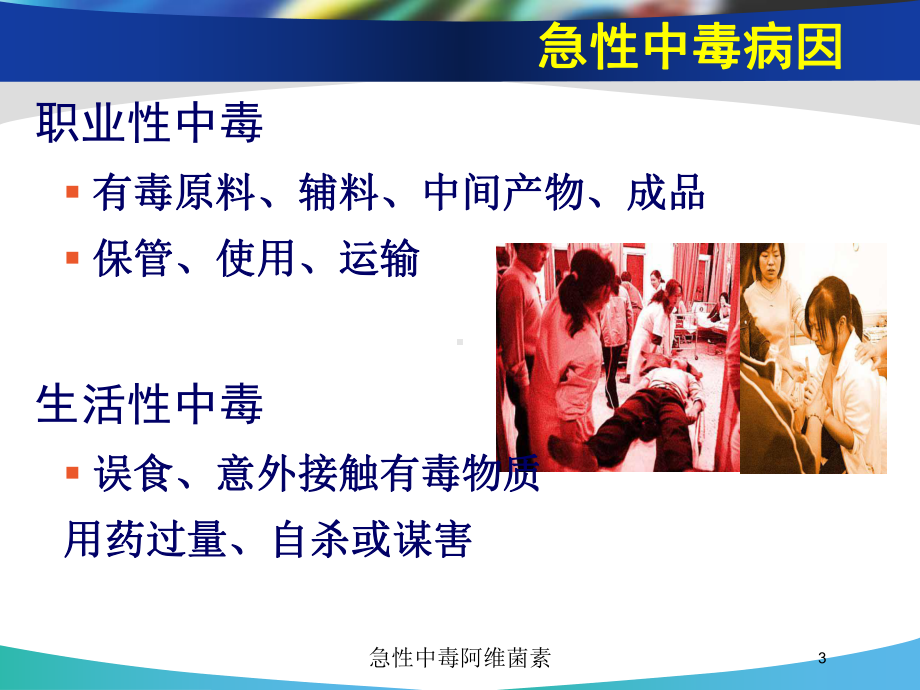 急性中毒阿维菌素培训课件.ppt_第3页