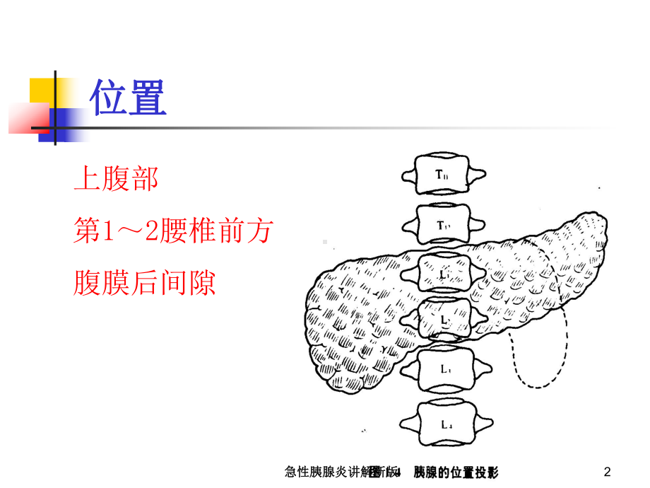 急性胰腺炎讲解新版培训课件.ppt_第2页