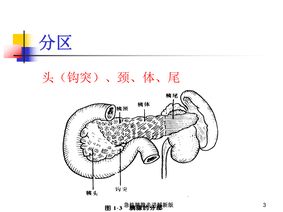 急性胰腺炎讲解新版培训课件.ppt_第3页