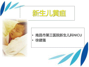 新生儿黄疸讲课-课件.ppt