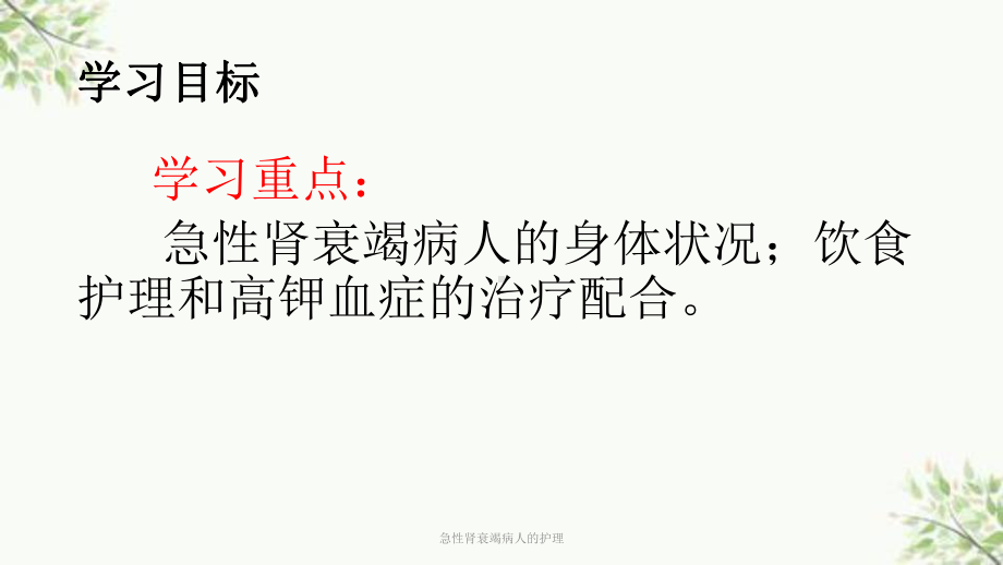 急性肾衰竭病人的护理课件.ppt_第2页