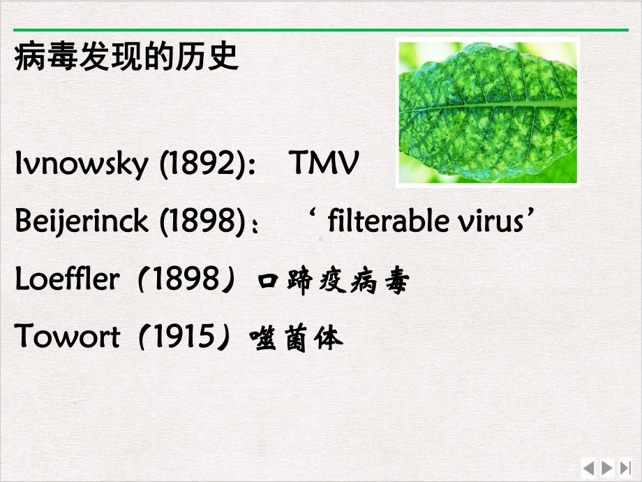 普通植物病理学植物病毒优选课件.ppt_第2页