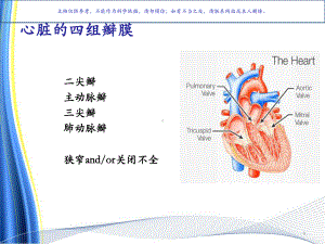 心脏瓣膜病的麻醉课件.ppt