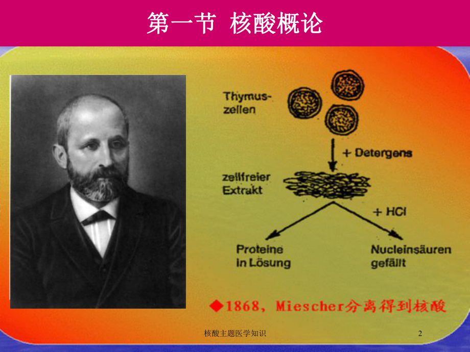 核酸主题医学知识培训课件.ppt_第2页