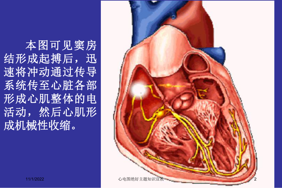 心电图绝好主题知识宣教课件.ppt_第2页