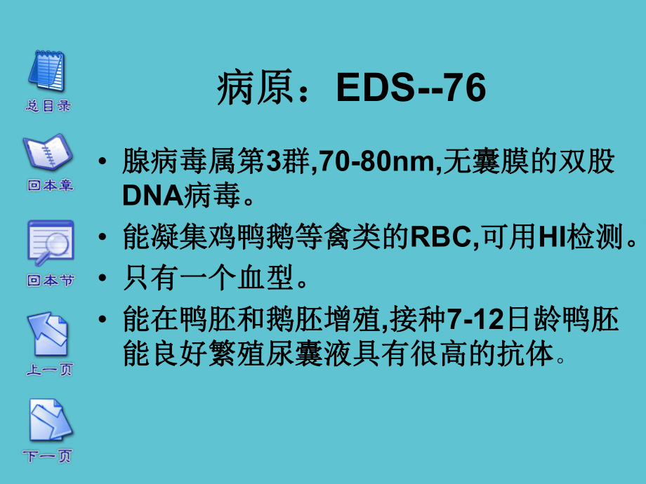 授课用-鸡产蛋下降综合症课件.ppt_第3页