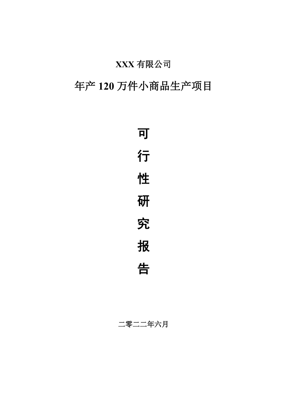 年产120万件小商品生产项目可行性研究报告.doc_第1页