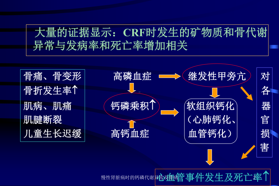 慢性肾脏病时的钙磷代谢异常及骨病课件.ppt_第2页