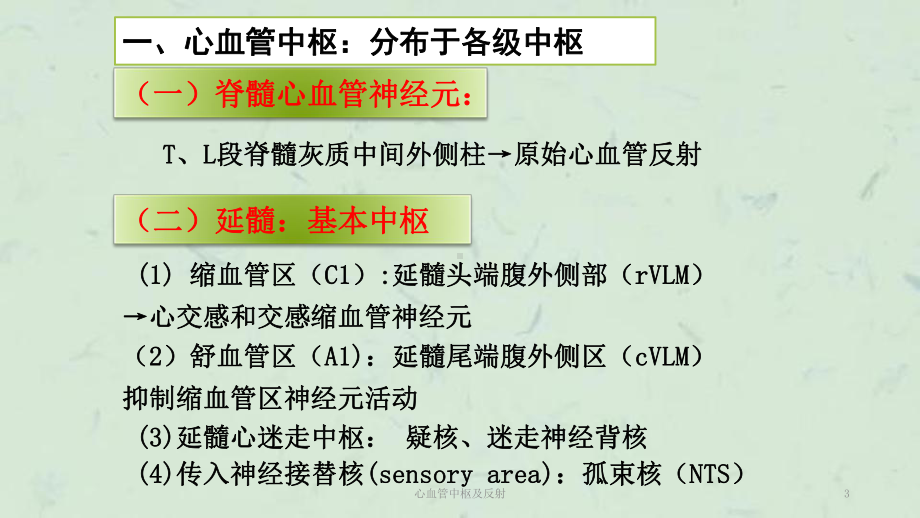 心血管中枢及反射课件.ppt_第3页