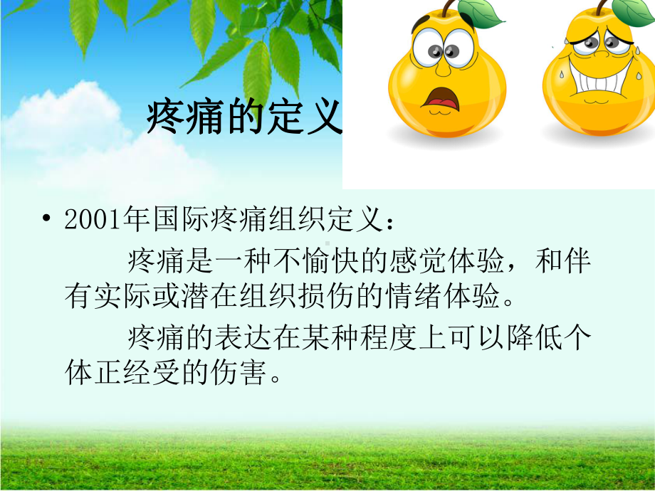 患者疼痛管理课件.ppt_第3页