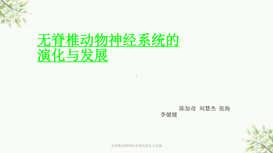 无脊椎动物神经系统的演化与发展课件.ppt_第1页