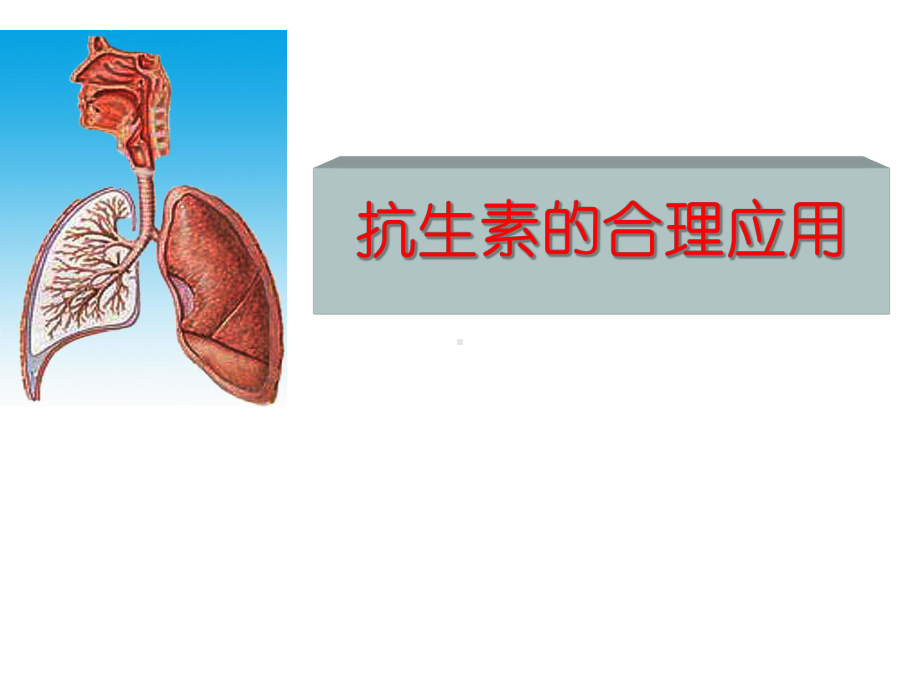 抗生素的合理应用-医学课件.ppt_第1页