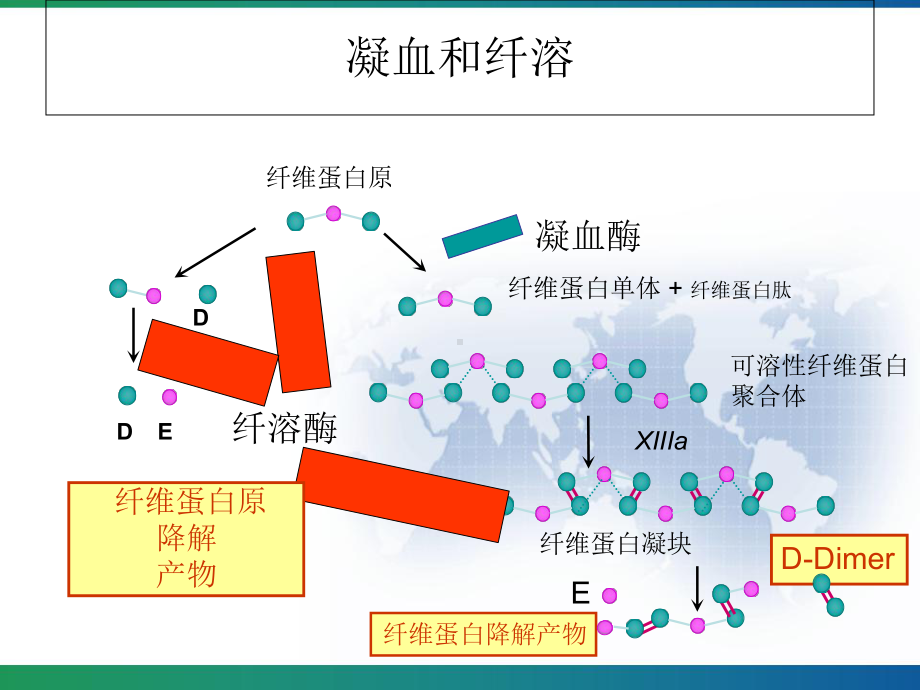 常见凝血项目检测及临床意义-课件.ppt_第3页