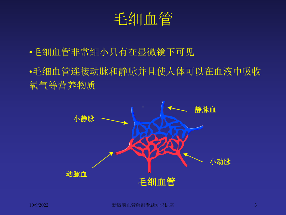 新版脑血管解剖专题知识讲座培训课件.ppt_第3页