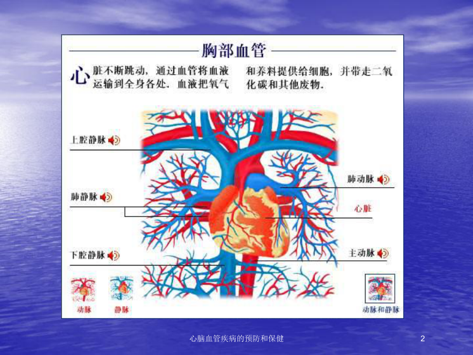 心脑血管疾病的预防和保健培训课件.ppt_第2页