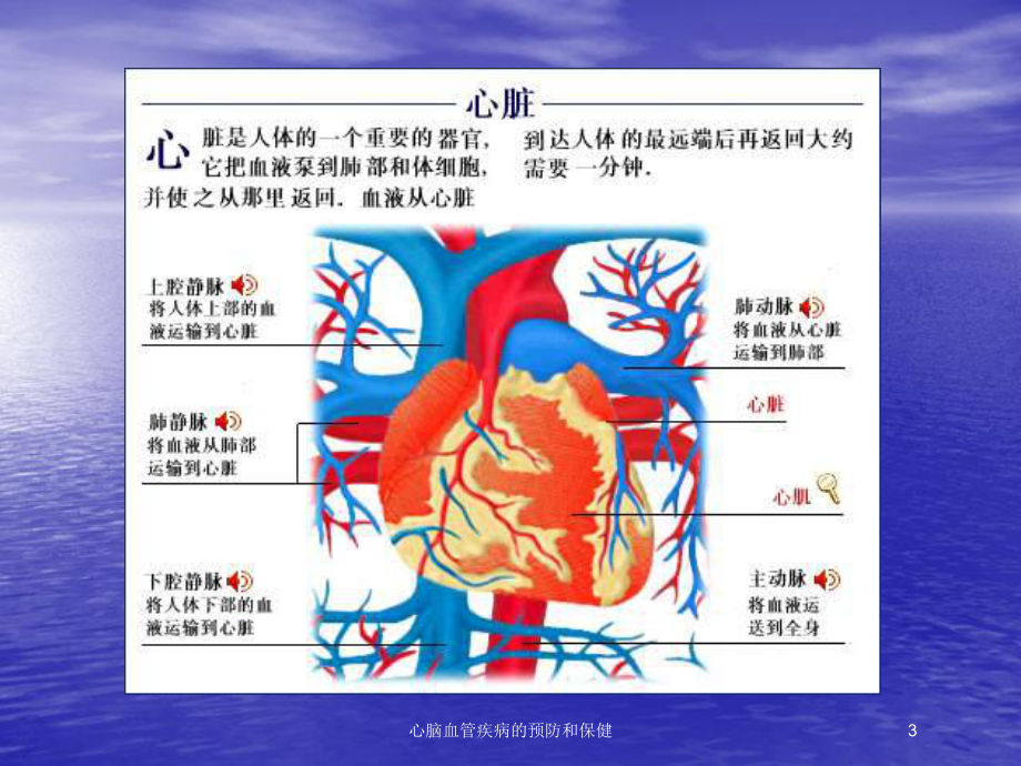 心脑血管疾病的预防和保健培训课件.ppt_第3页