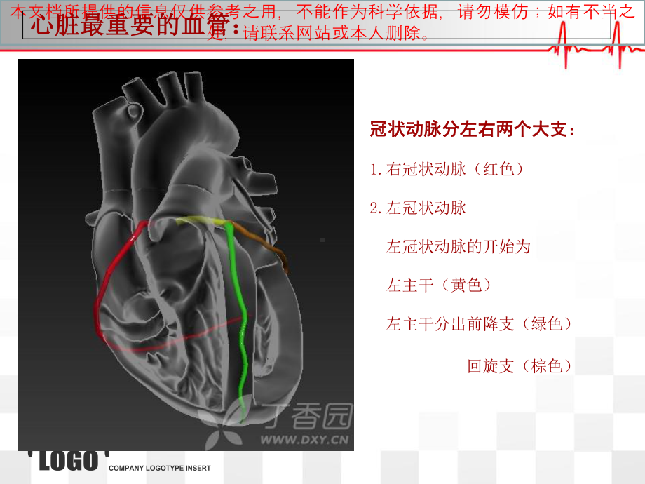 心脏的血管解剖培训课件.ppt_第1页