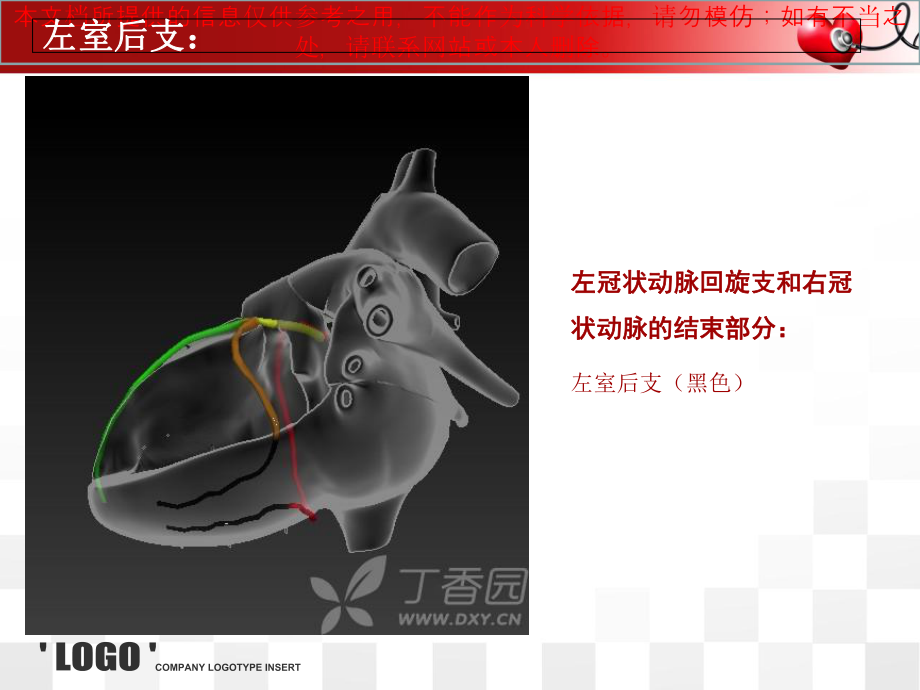 心脏的血管解剖培训课件.ppt_第2页