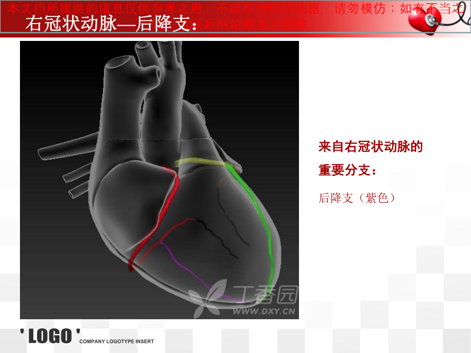 心脏的血管解剖培训课件.ppt_第3页