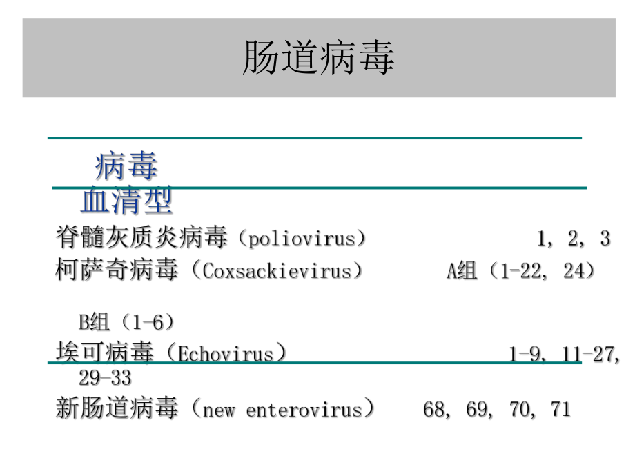 微肠道感染病毒急性胃肠道病毒概要课件.pptx_第3页