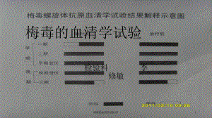 梅毒的血清学试验课件2.ppt