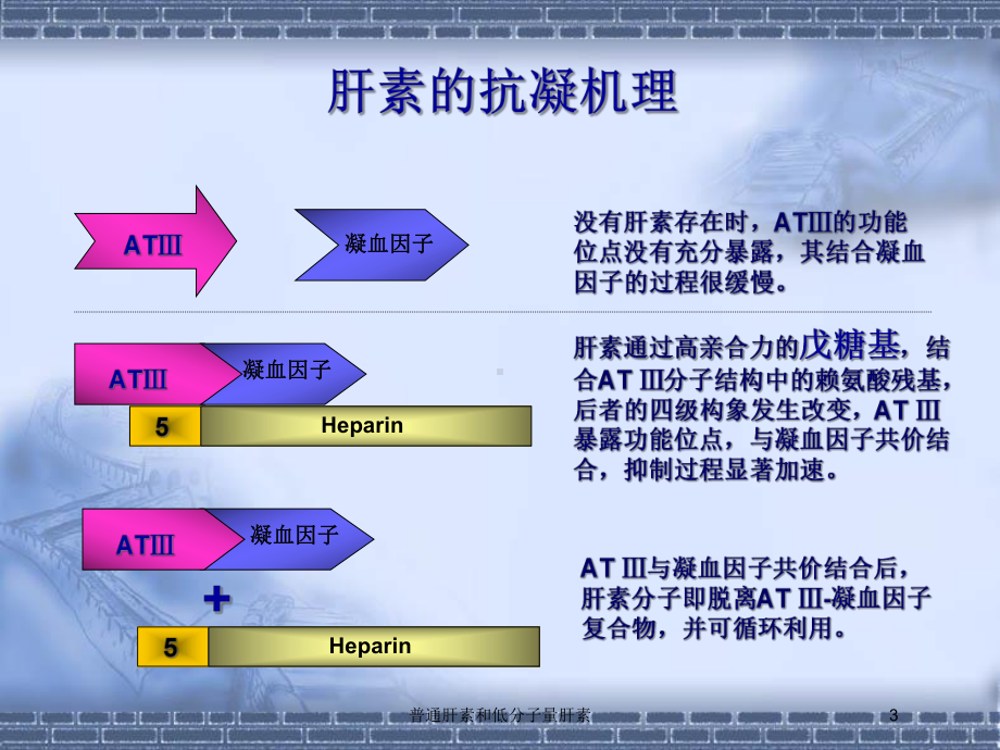 普通肝素和低分子量肝素培训课件.ppt_第3页