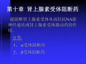 护理专业药理肾上腺素受体阻断药精选课件.ppt