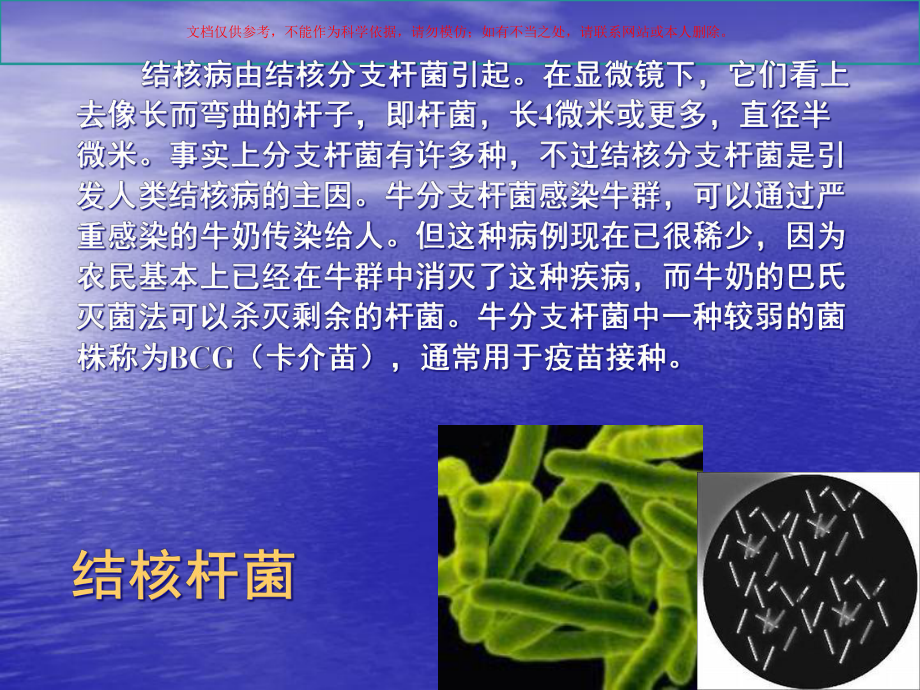 抗结核病药专题知识讲座课件.ppt_第2页