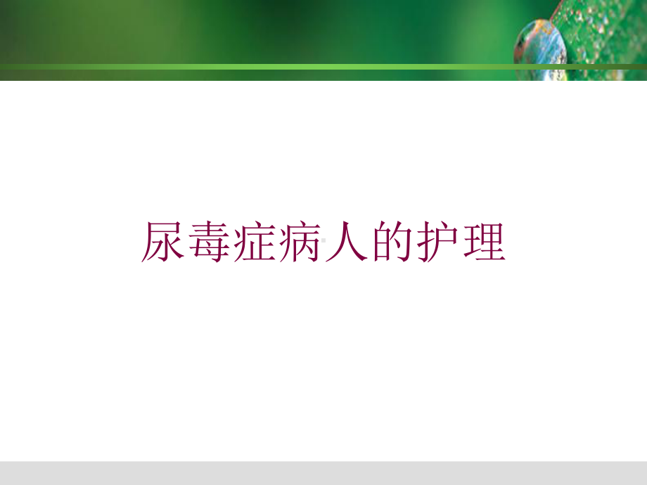 尿毒症病人的护理培训课件.ppt_第1页