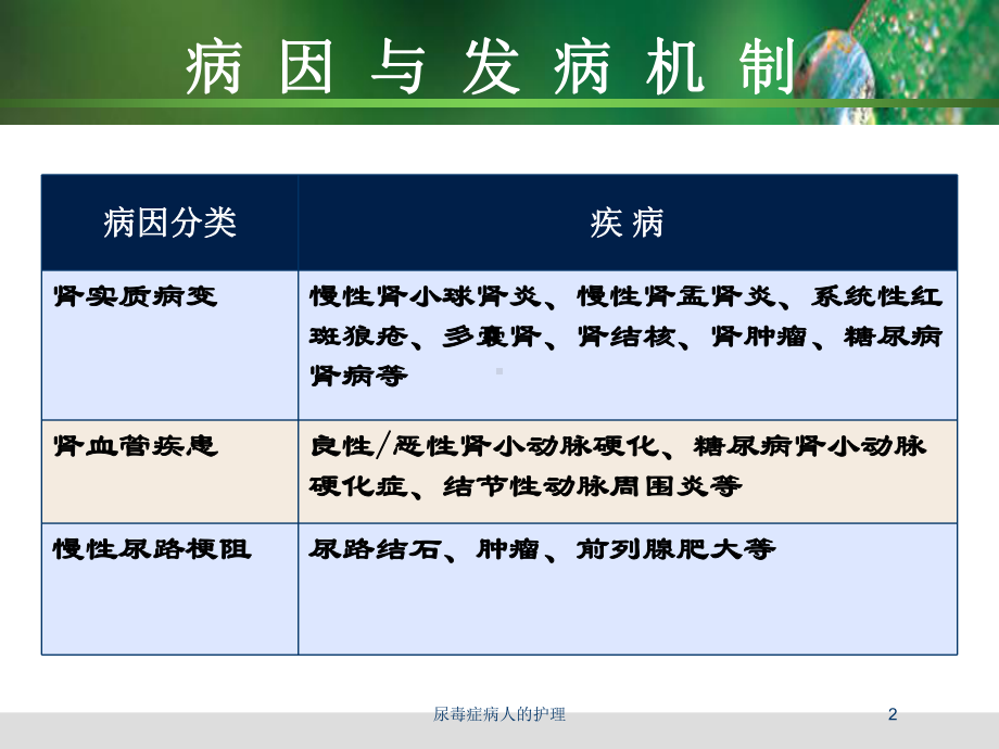 尿毒症病人的护理培训课件.ppt_第2页