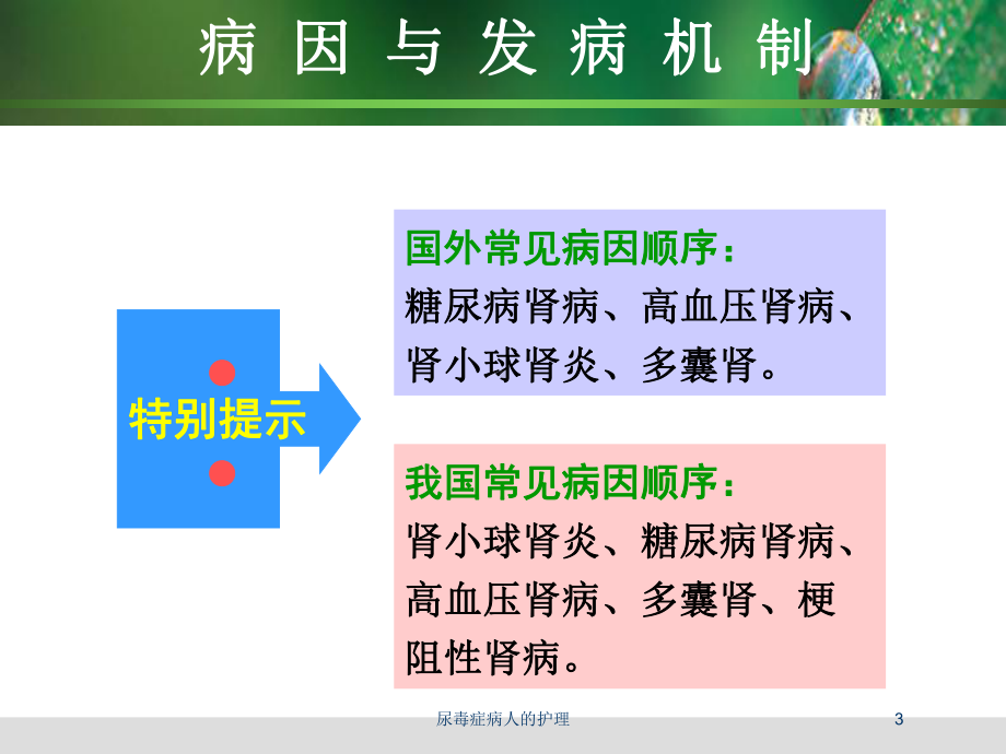 尿毒症病人的护理培训课件.ppt_第3页