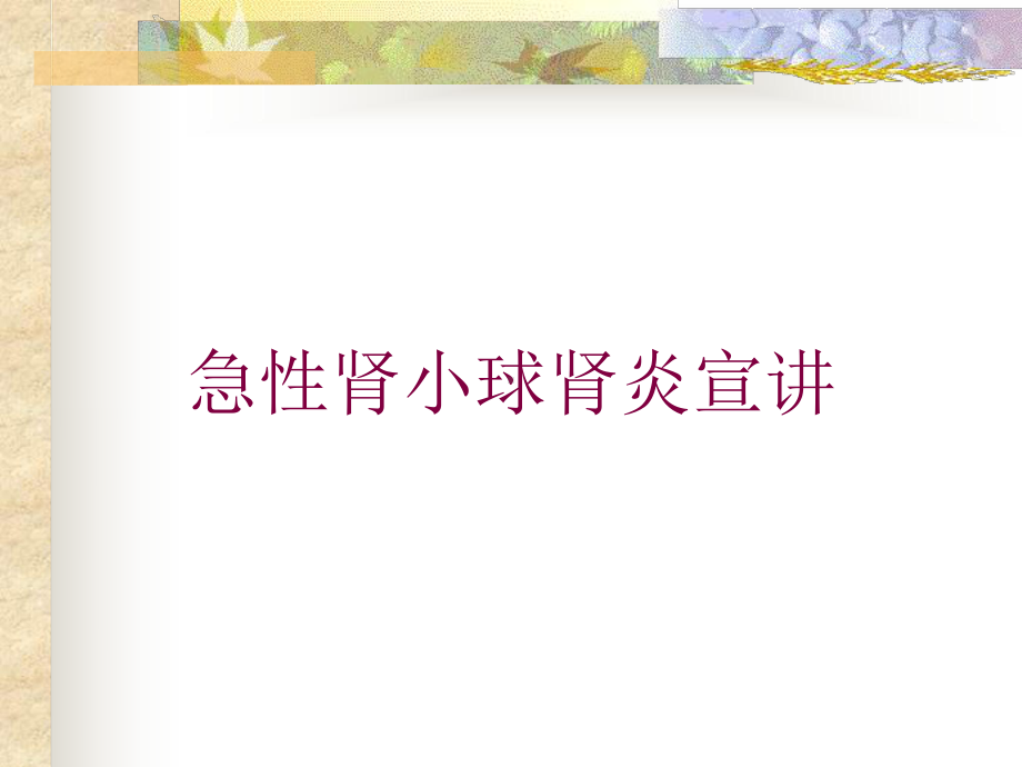 急性肾小球肾炎宣讲培训课件.ppt_第1页