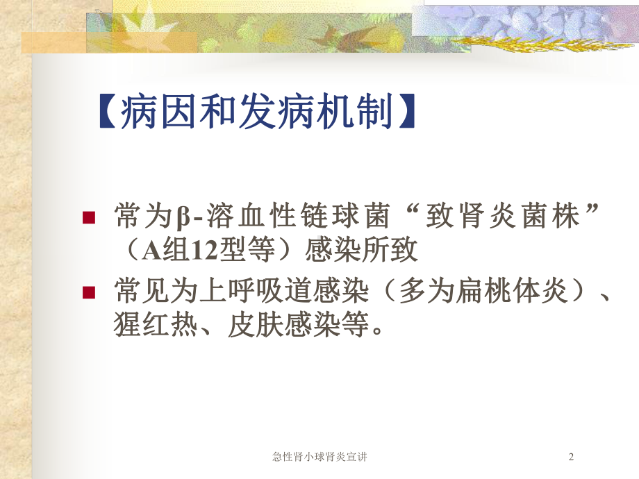 急性肾小球肾炎宣讲培训课件.ppt_第2页