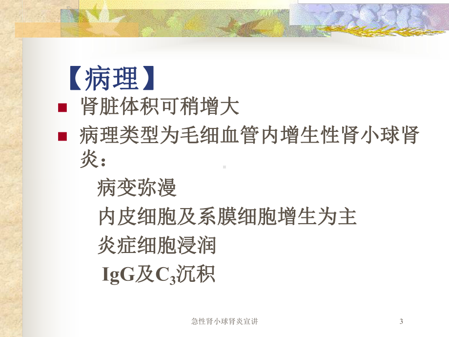 急性肾小球肾炎宣讲培训课件.ppt_第3页