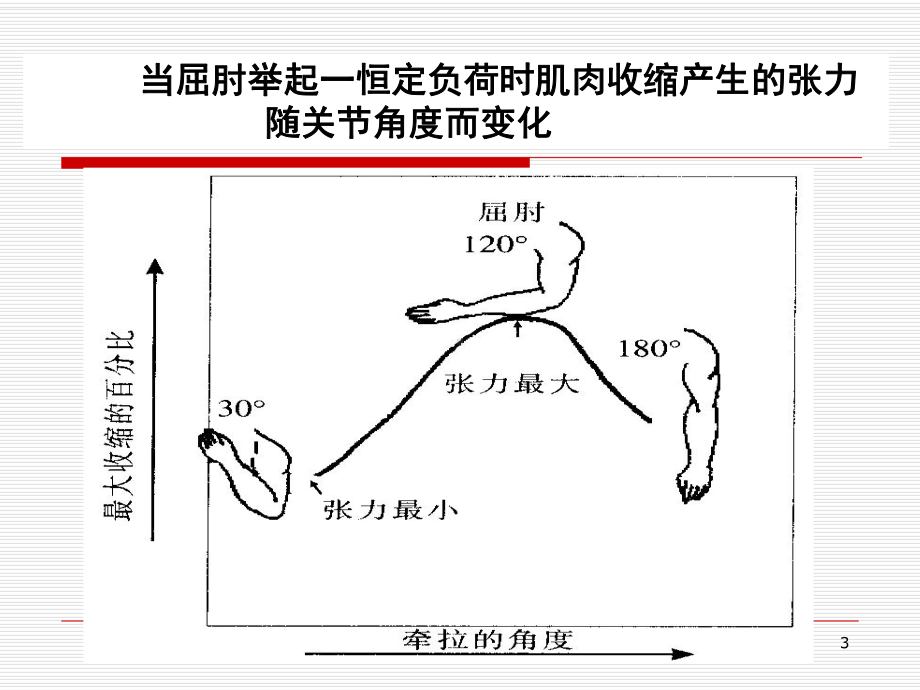 最全健身基础理论课件.ppt_第3页