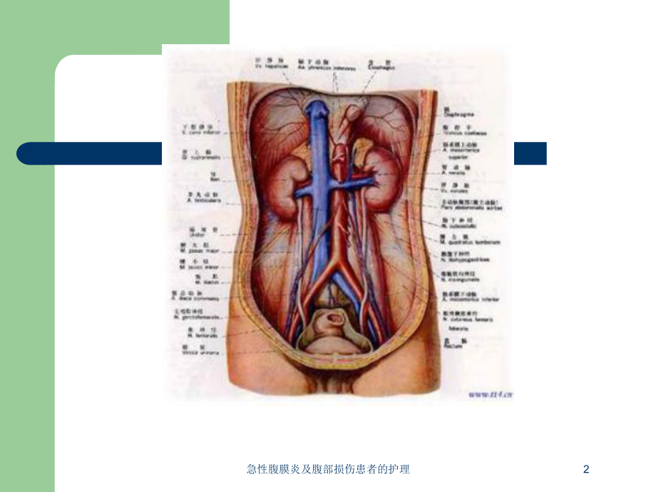 急性腹膜炎及腹部损伤患者的护理培训课件.ppt_第2页