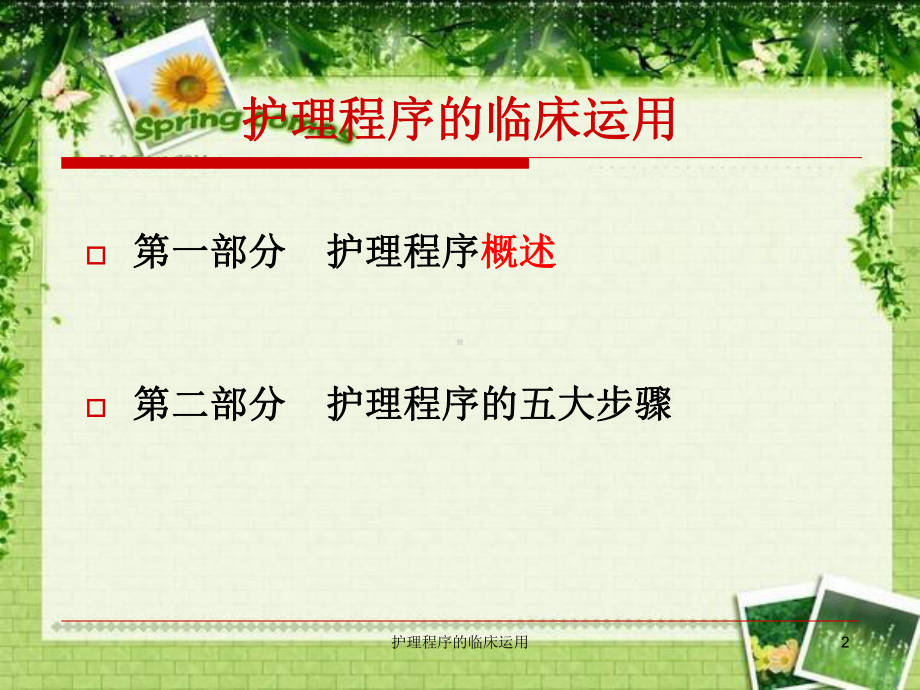 护理程序的临床运用课件.ppt_第2页