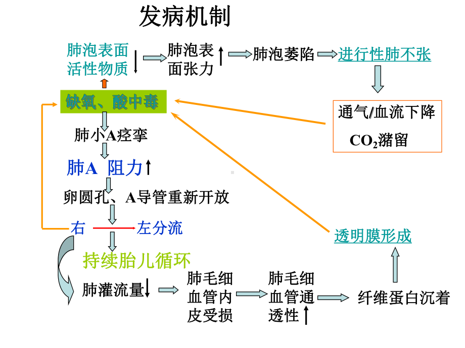 新生儿呼吸窘迫综合症XIN学习课件.ppt_第3页