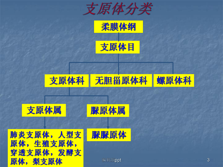 支原体上课用课件.ppt_第3页