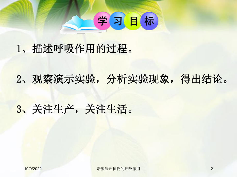 新编绿色植物的呼吸作用培训课件.ppt_第2页