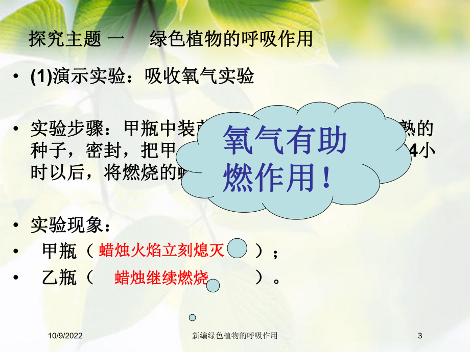 新编绿色植物的呼吸作用培训课件.ppt_第3页