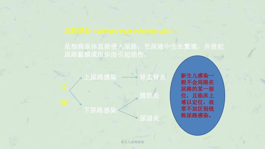 新生儿尿路感染课件.ppt_第2页