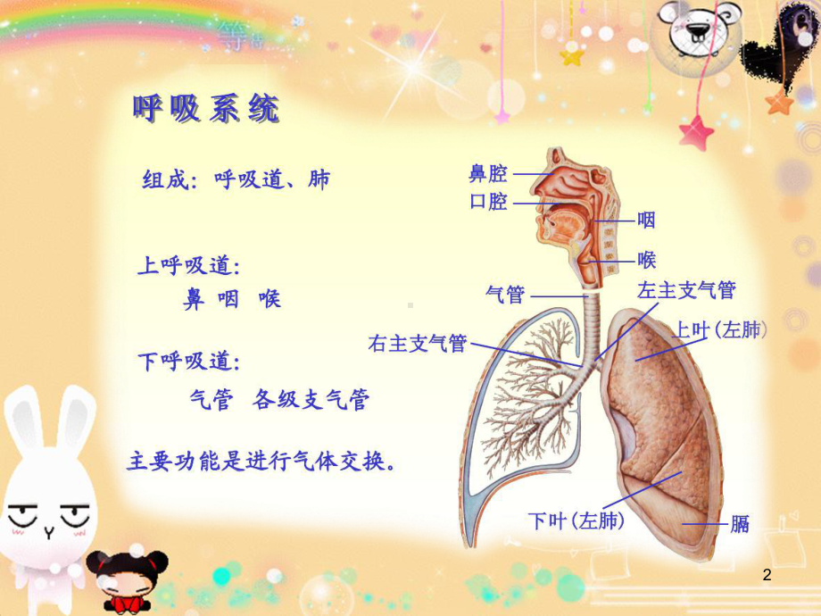 幼儿园讲课上呼吸道感染预防课件.ppt_第2页