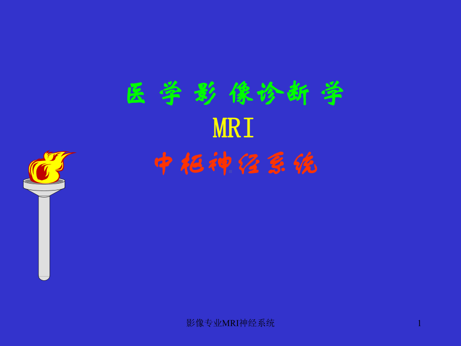 影像专业MRI神经系统课件.ppt_第1页