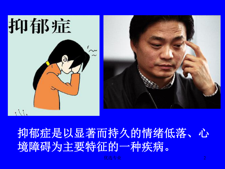 抑郁症及药物治疗(专业研究)课件.ppt_第2页