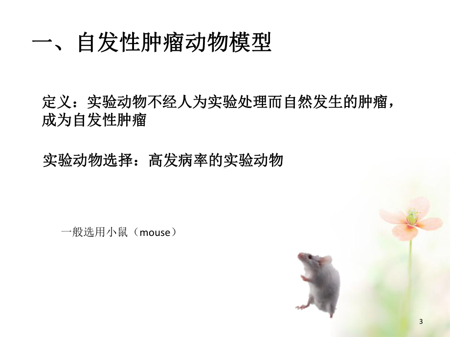 常见肿瘤动物模型一览课件.ppt_第3页