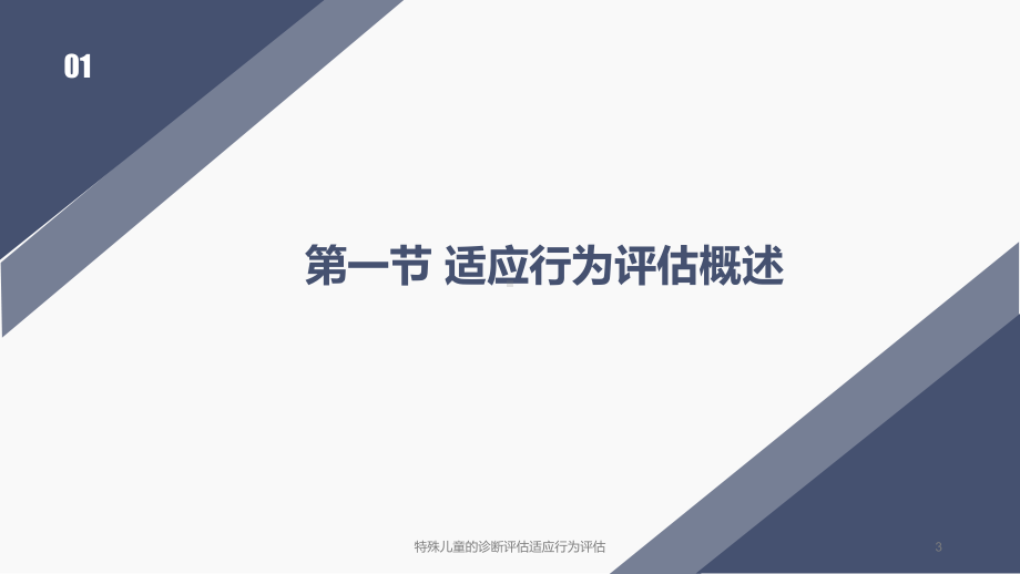 特殊儿童的诊断评估适应行为评估培训课件.ppt_第3页