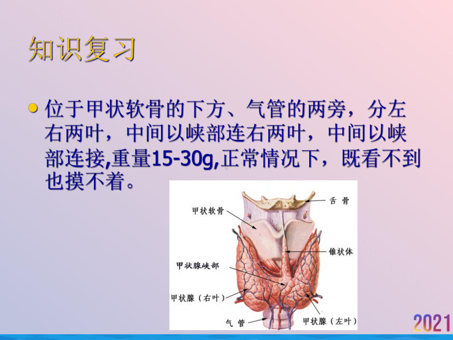 甲状腺功能减退症的护理课件-2.ppt_第2页