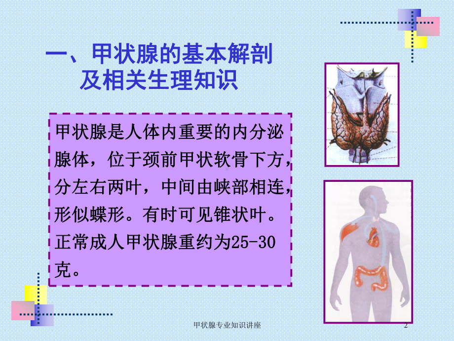 甲状腺专业知识讲座培训课件.ppt_第2页