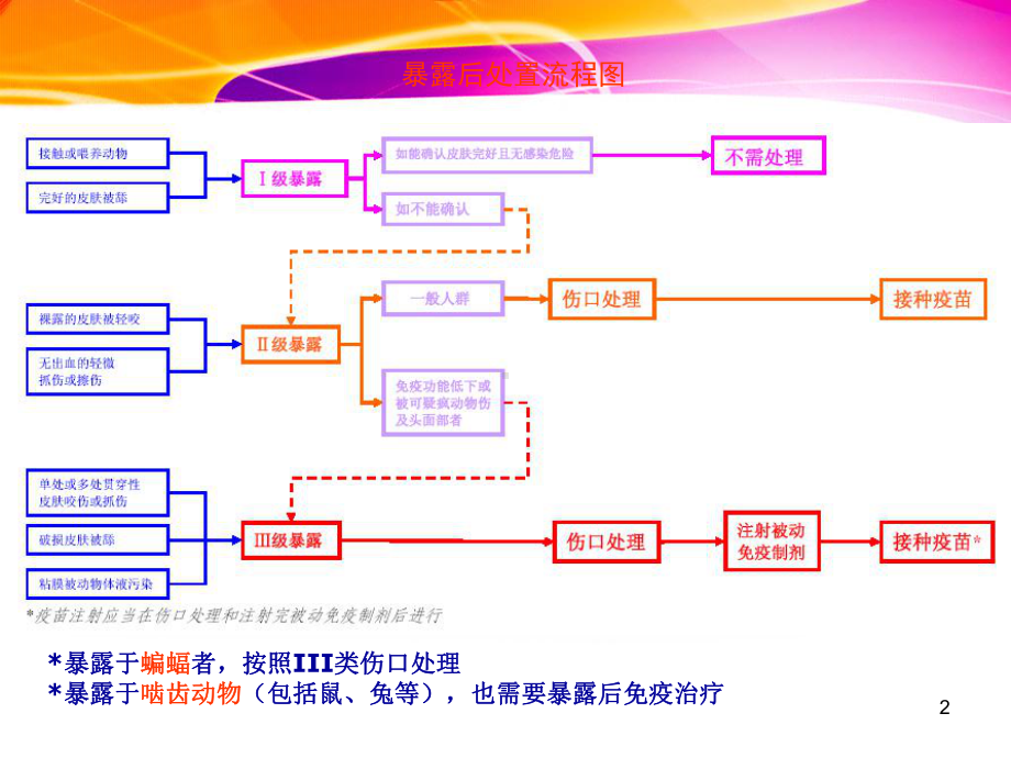 狂犬病暴露预防处置流程学习课件.ppt_第2页